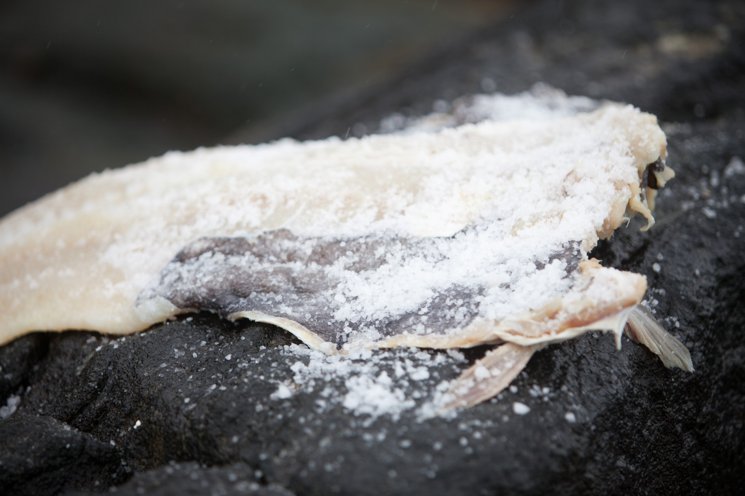 Saltet rått fiskestykke